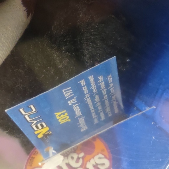 NEW SEALED LIMITED EDITION NSYNC JOEY FATONE NO STINGS ATTACHED BEAR 10219 - Picture 8 of 9